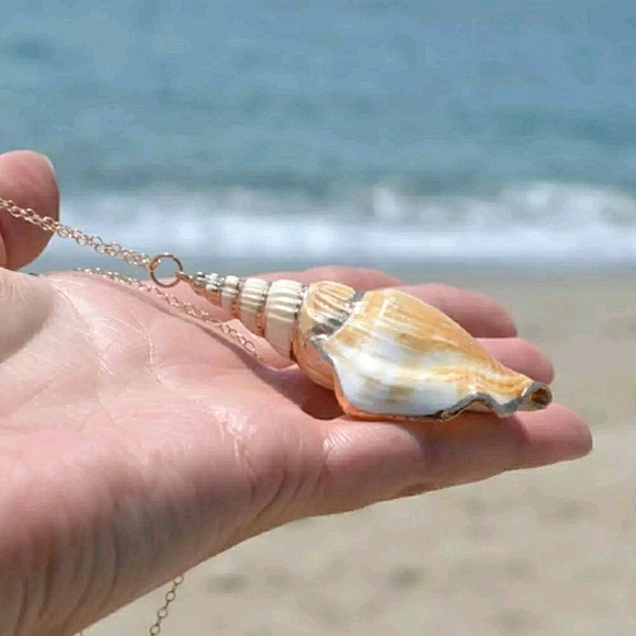 Boutique Jewelry - Sea Shell Pendant Necklace Beach Charm